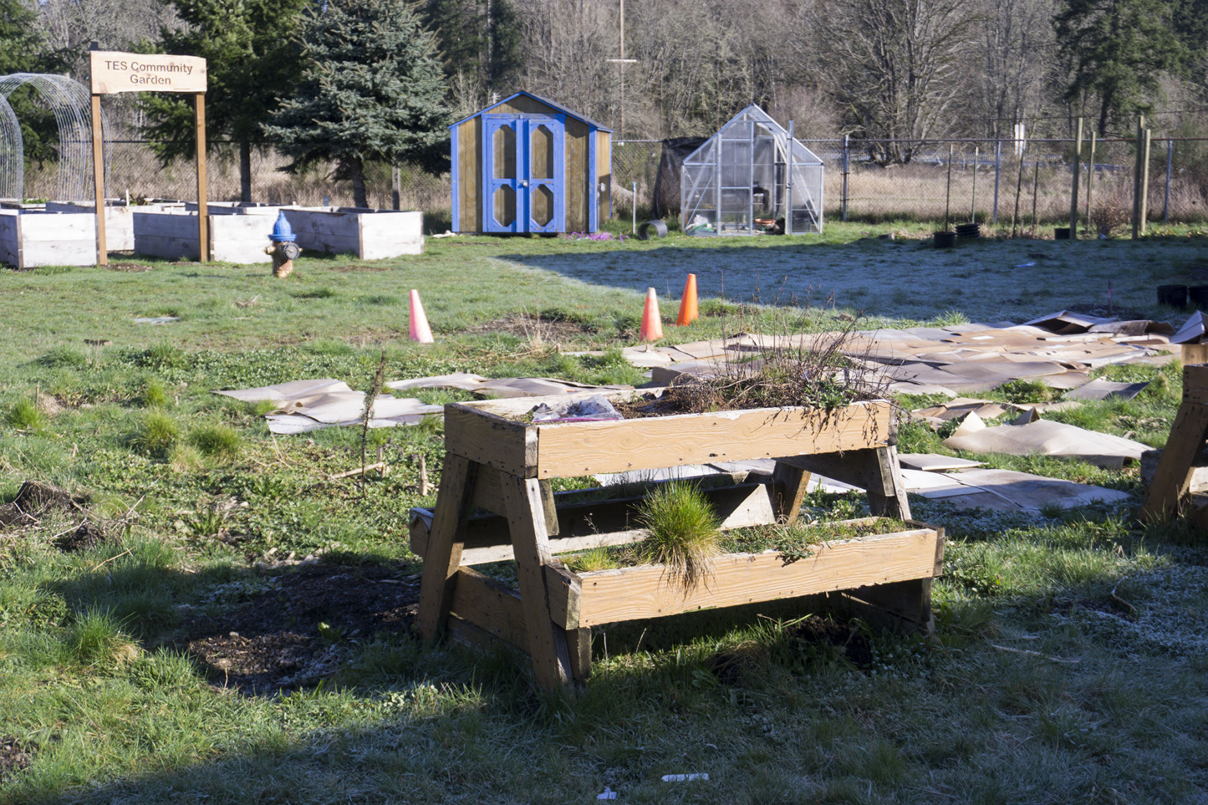 TES Garden